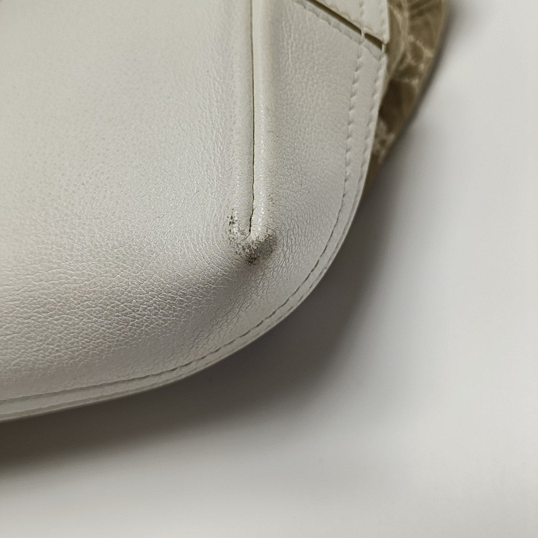SABBIA BESACE Monogram Canvas Brown
