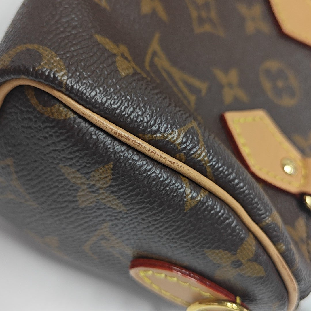 SPEEDY Nano Monogram Coated Canvas Brown