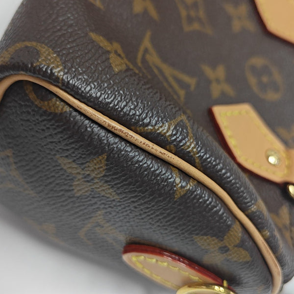 SPEEDY Nano Monogram Coated Canvas Brown