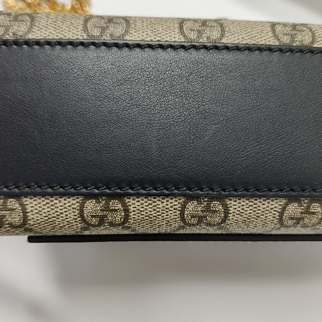 Padlock Small Monogram Coated Canvas Multicolor