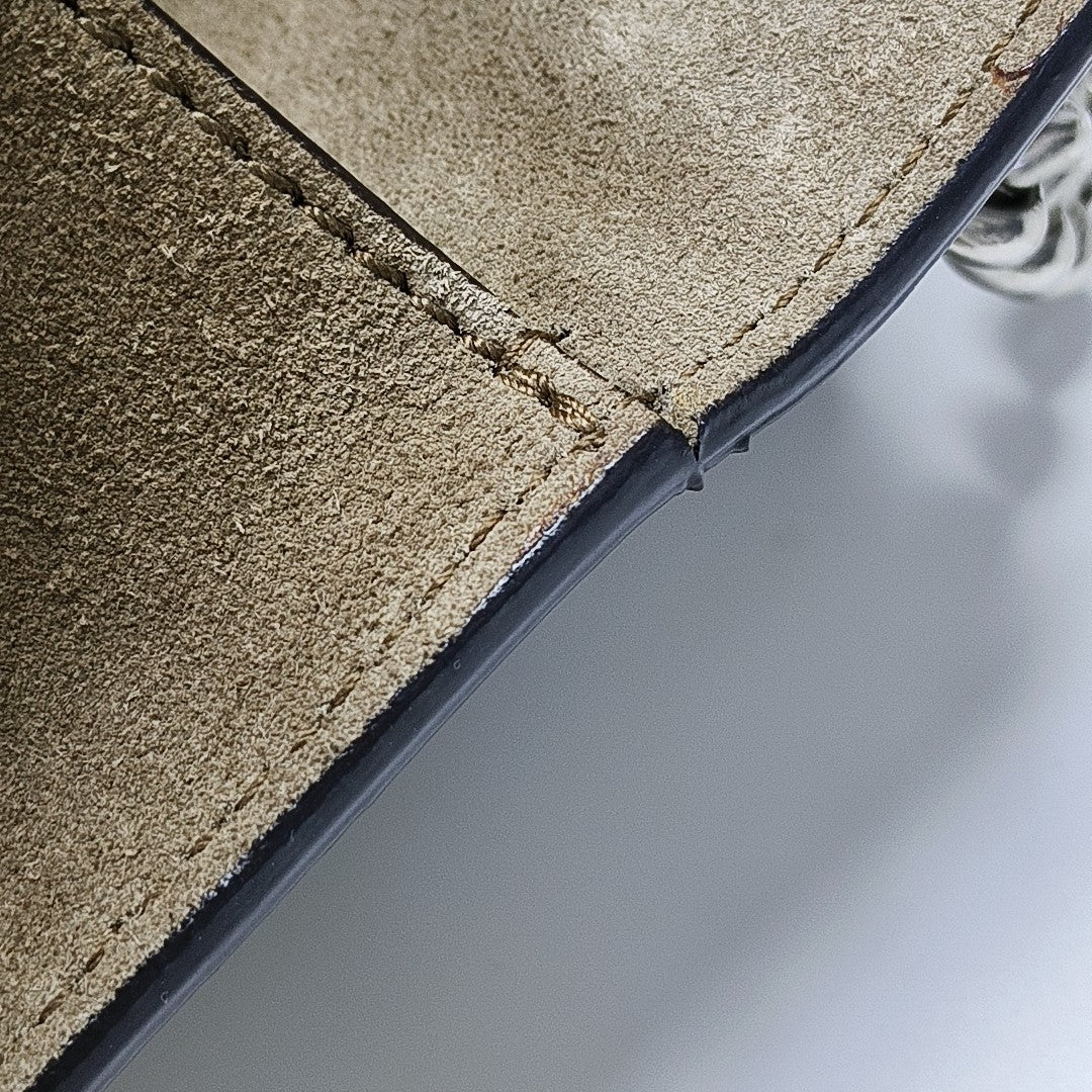 Dionysus Mini Monogram Coated Canvas Beige