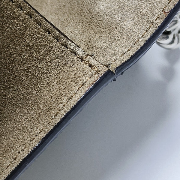 Dionysus Mini Monogram Coated Canvas Beige