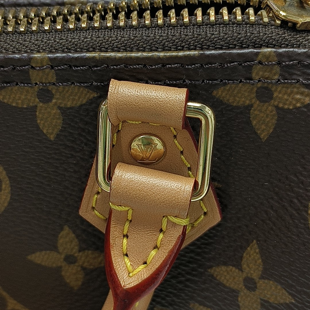 SPEEDY Nano Monogram Coated Canvas Brown