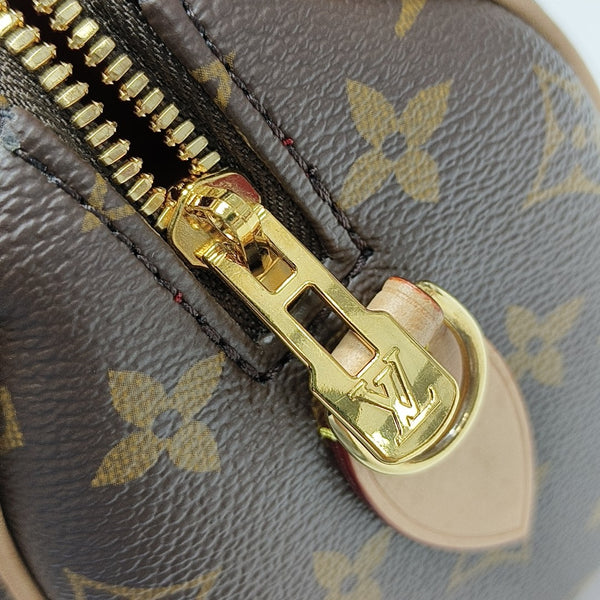 SPEEDY 20 Monogram Coated Canvas Brown