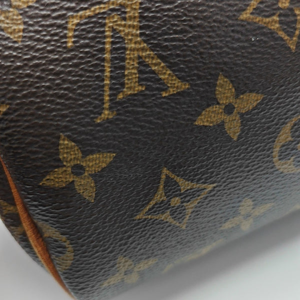 SPEEDY Nano Monogram Coated Canvas Brown