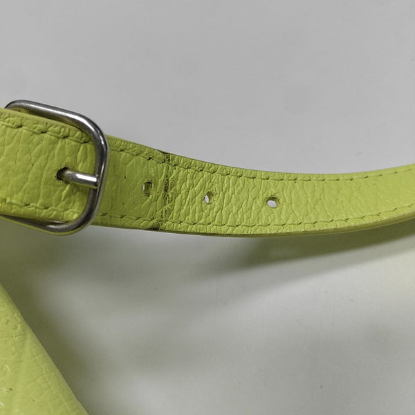Souvenirs Mini Calfskin Green