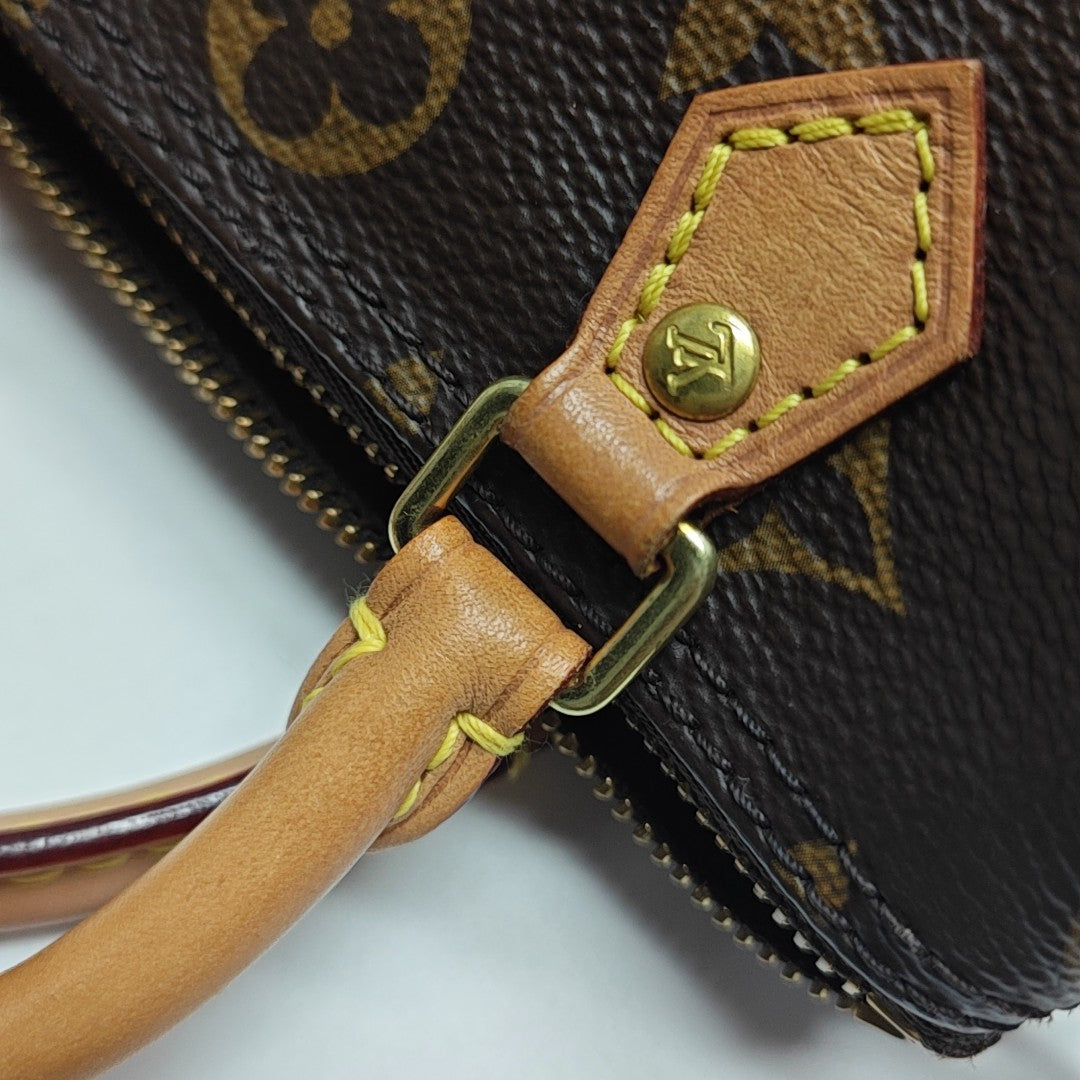 SPEEDY Nano Monogram Coated Canvas Brown