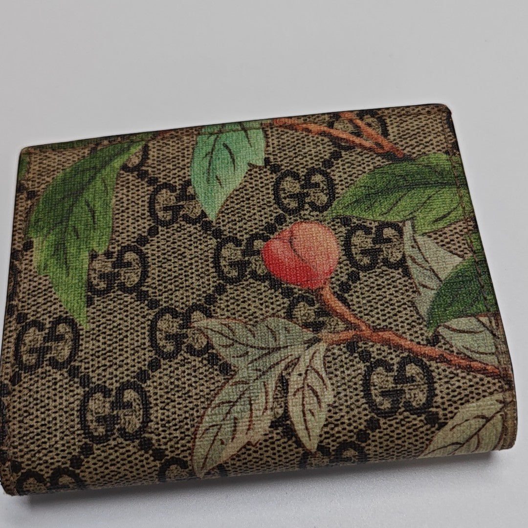 Tian Monogram Coated Canvas Beige Wallet