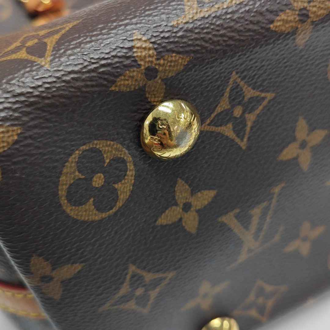 CARRYALL PM Monogram Coated Canvas Brown