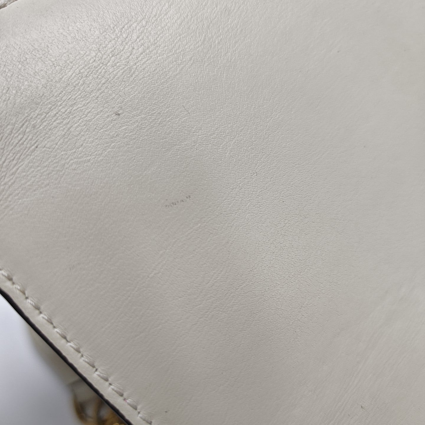 Dionysus Medium Calfskin Multicolor