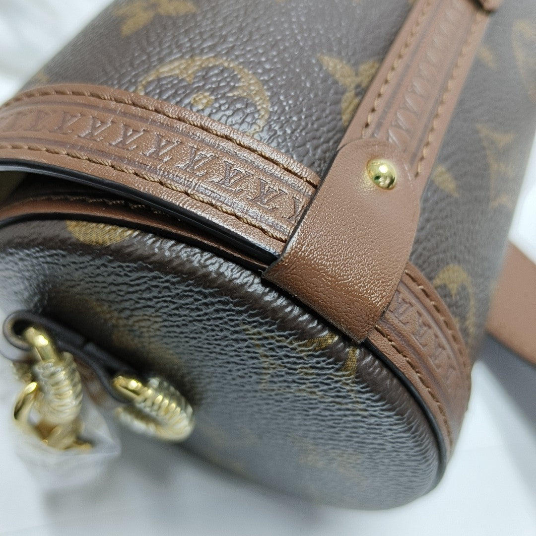 PAPILLON 19 Monogram Coated Canvas Brown