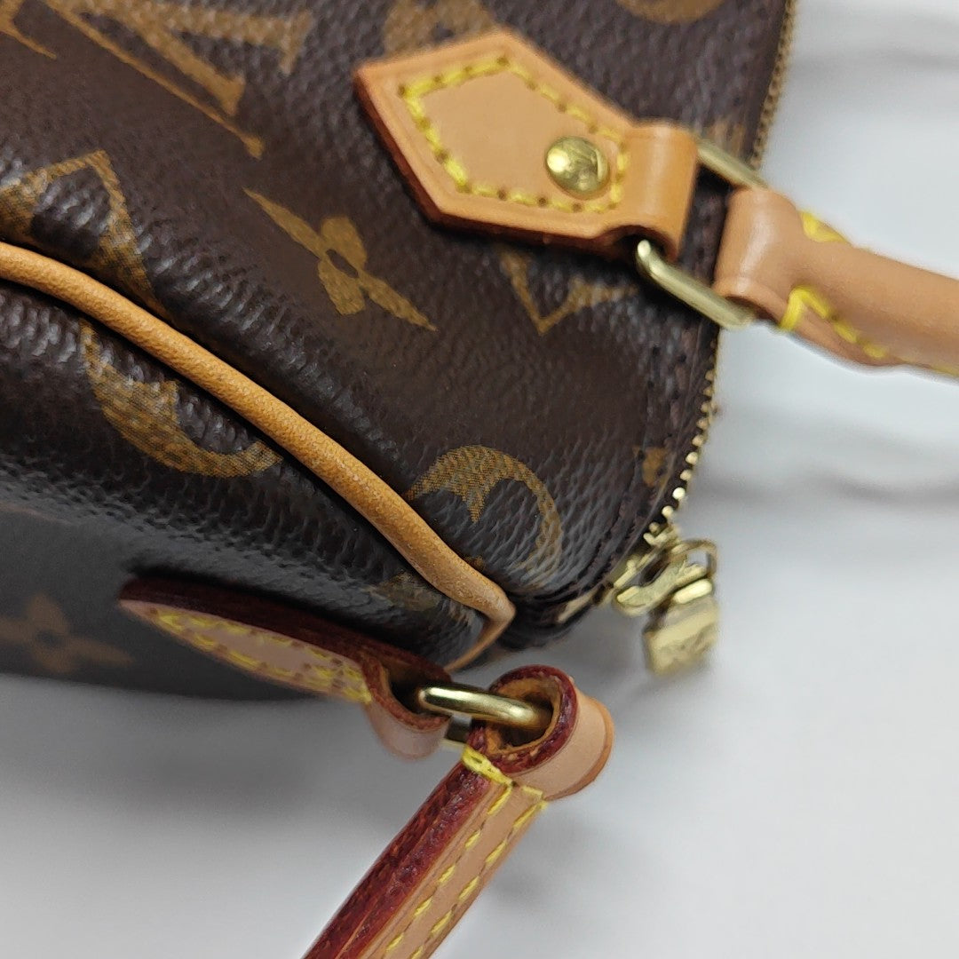 SPEEDY Nano Monogram Coated Canvas Brown