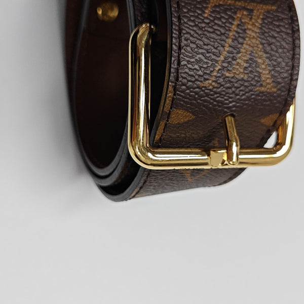 PAPILLON 19 Monogram Coated Canvas Brown
