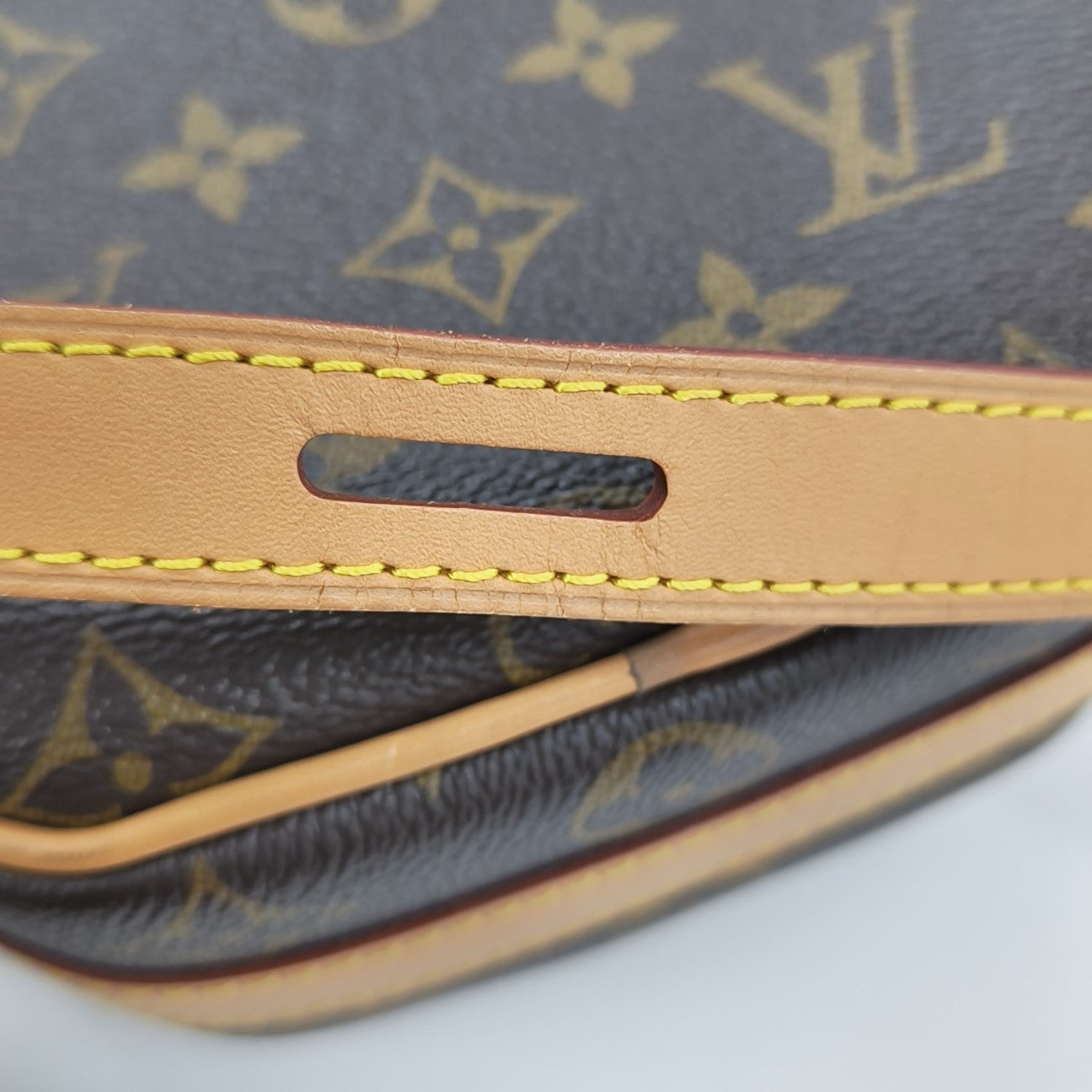 BOITE CHAPEAU PM Monogram Coated Canvas Brown