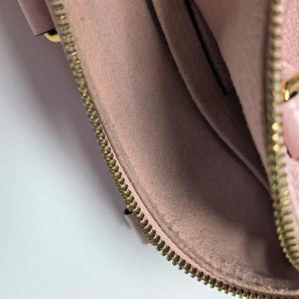 PAPILLON BB Monogram Calfskin Pink