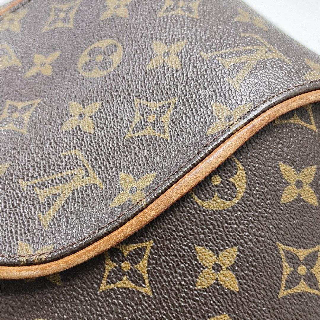 ELLIPSE Monogram Coated Canvas Brown