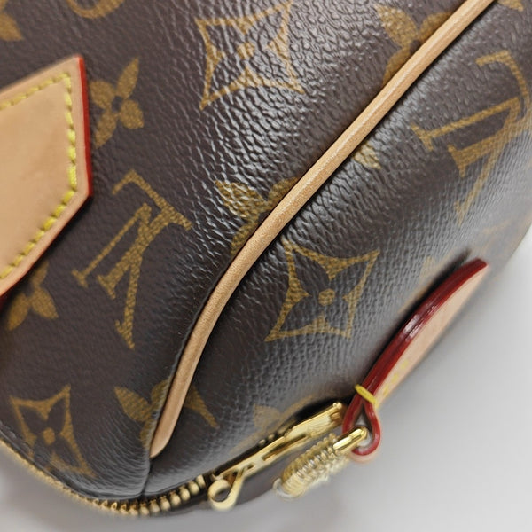 SPEEDY 20 Monogram Coated Canvas Brown