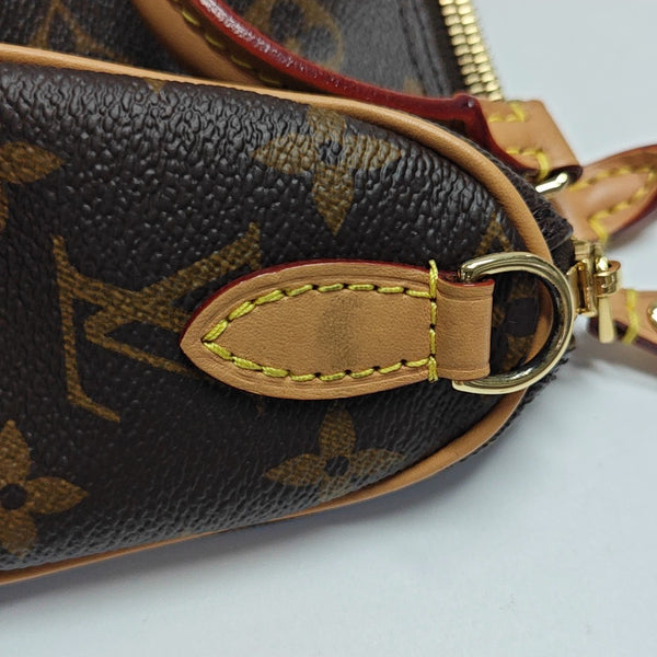 SPEEDY Nano Monogram Coated Canvas Brown