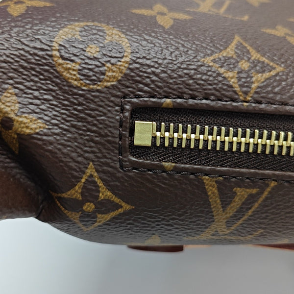 BUMBAG Monogram Coated Canvas Brown
