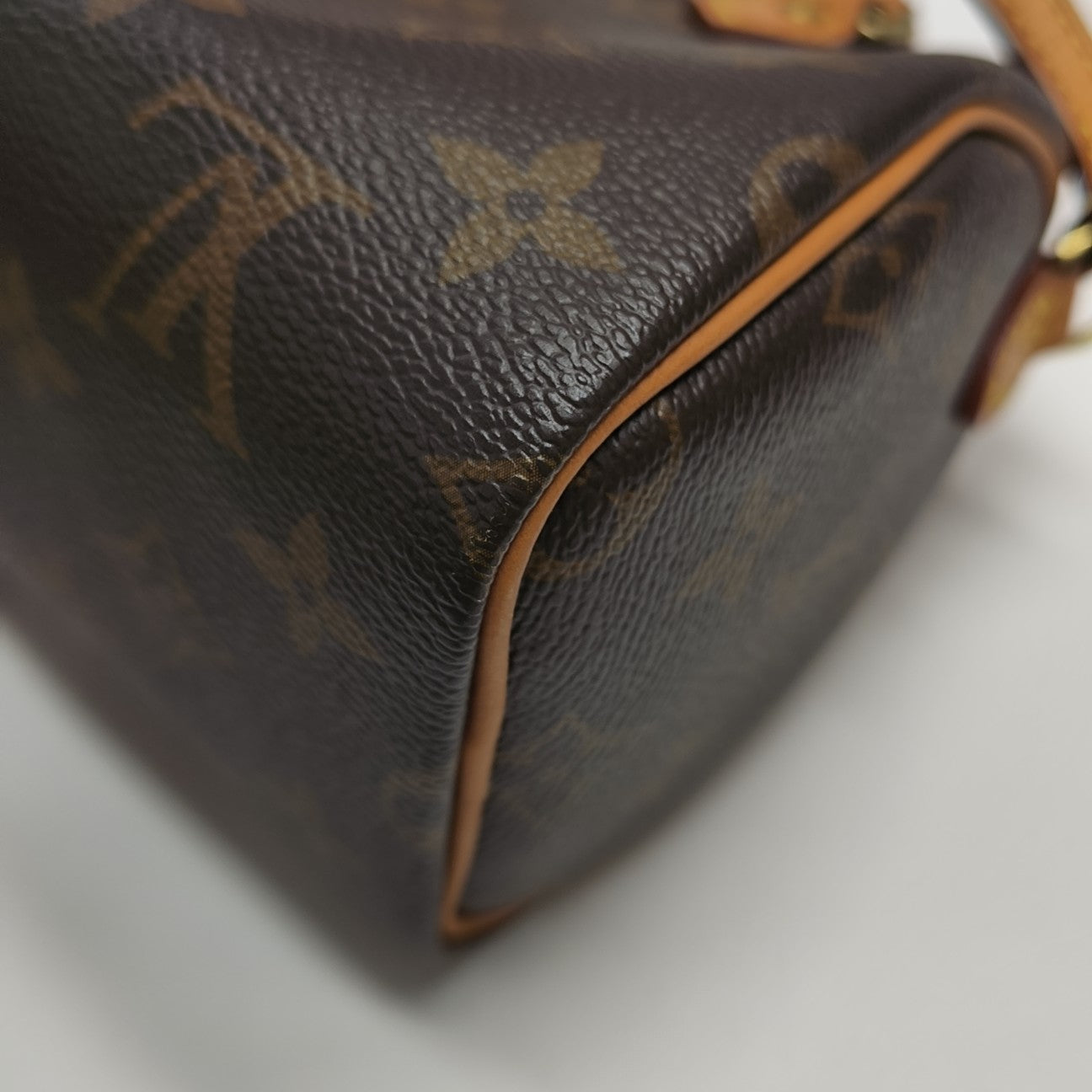 SPEEDY Nano Monogram Coated Canvas Brown
