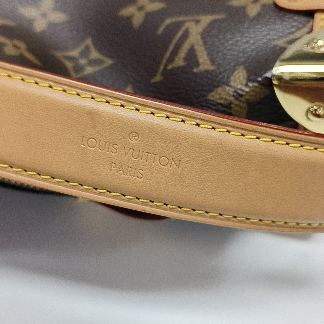SIDE TRUNK PM Monogram Coated Canvas Brown