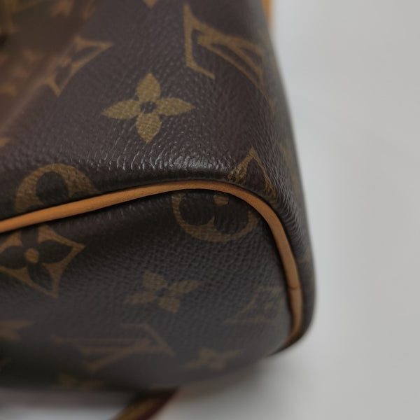 SPEEDY Nano Monogram Coated Canvas Brown