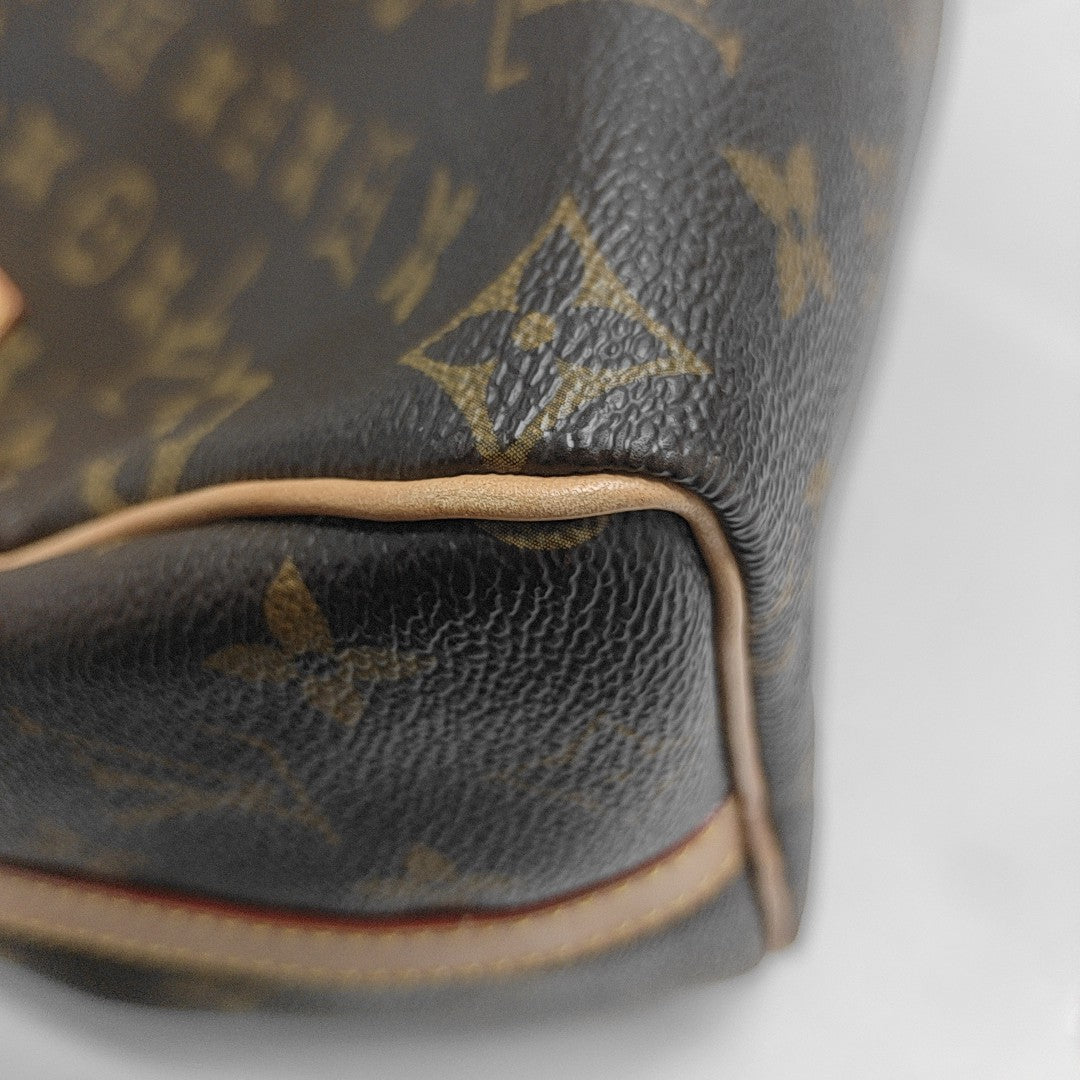 SPEEDY 25 Monogram Coated Canvas Brown