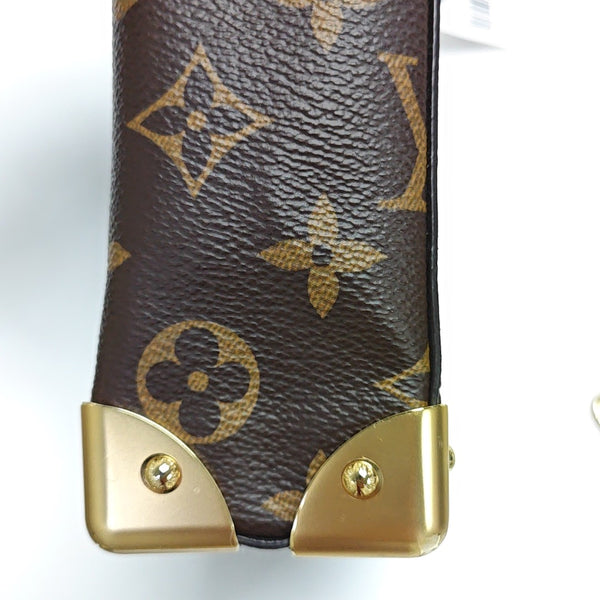 CAMERA BOX Monogram Coated Canvas Brown