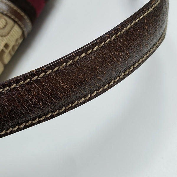 Treasure Canvas Brown