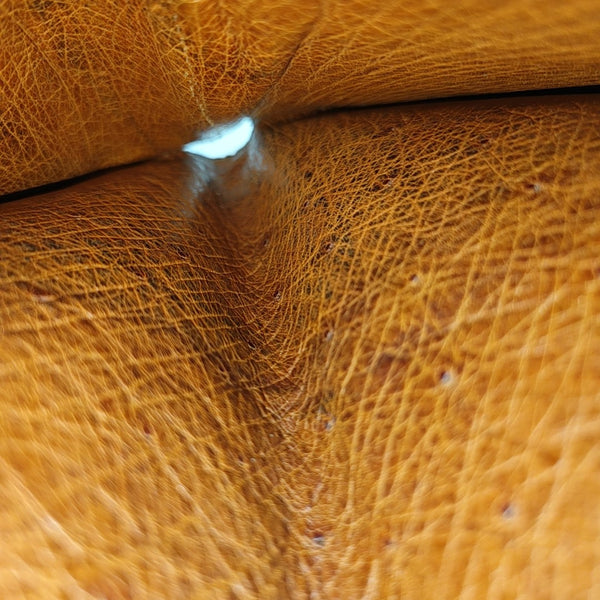 Ostrich Wallet Brown