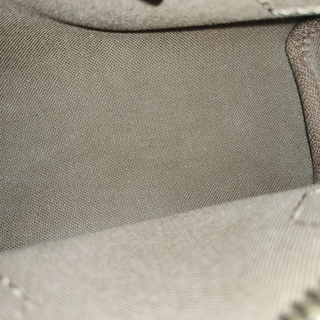SPEEDY Nano Monogram Coated Canvas Brown