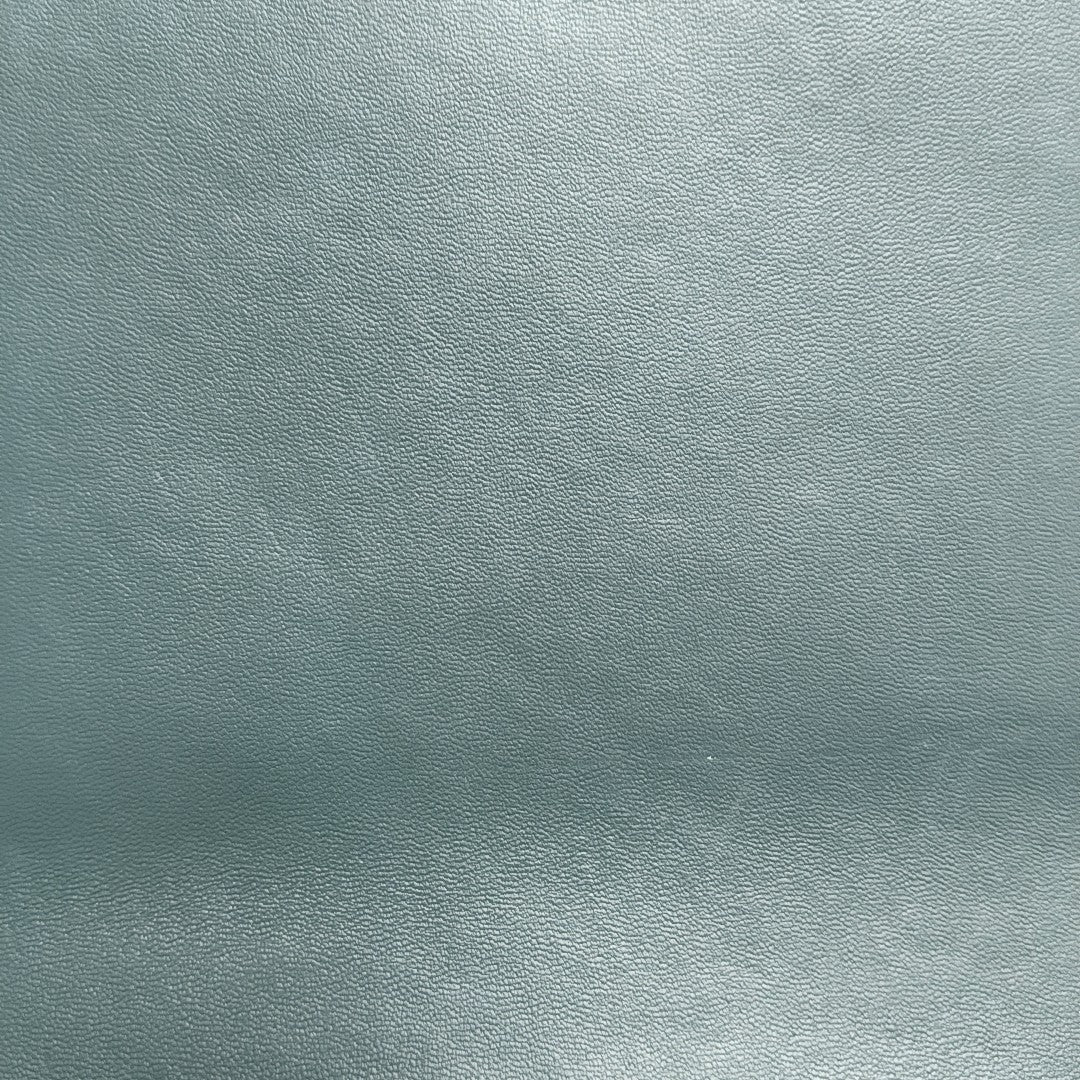 Olympia Small Calfskin Green