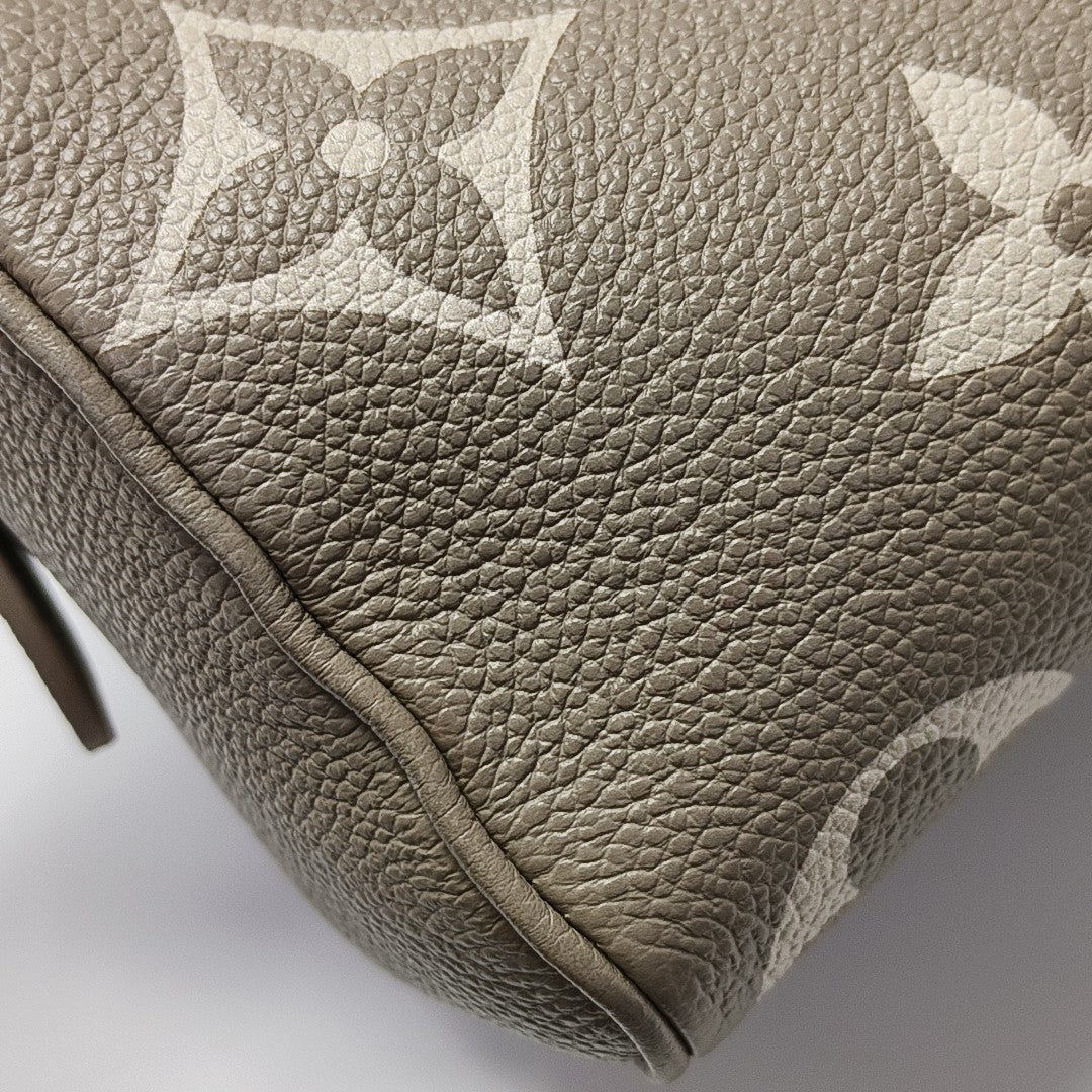 SPEEDY 20 Monogram Calfskin Gray