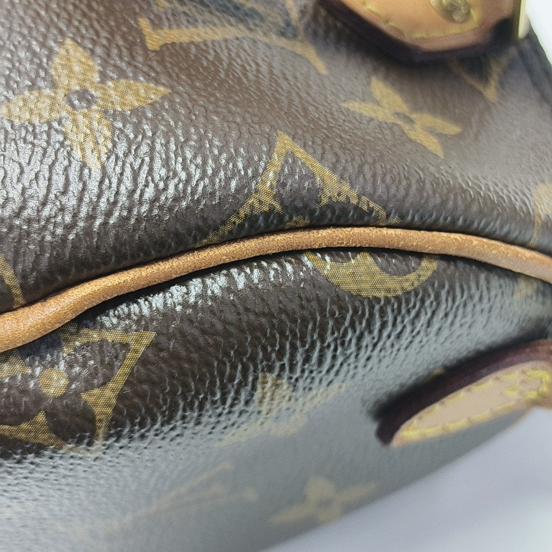 SPEEDY Nano Monogram Coated Canvas Brown