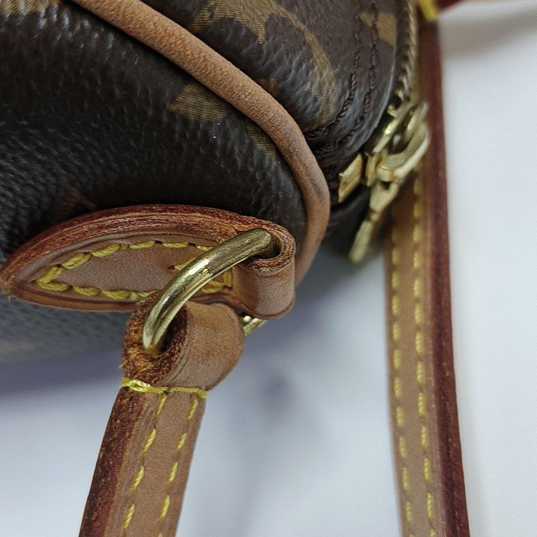 SPEEDY Nano Monogram Coated Canvas Brown