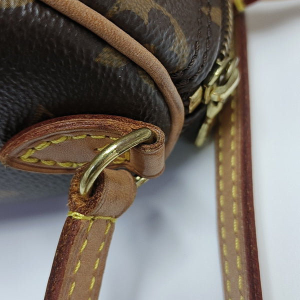 SPEEDY Nano Monogram Coated Canvas Brown