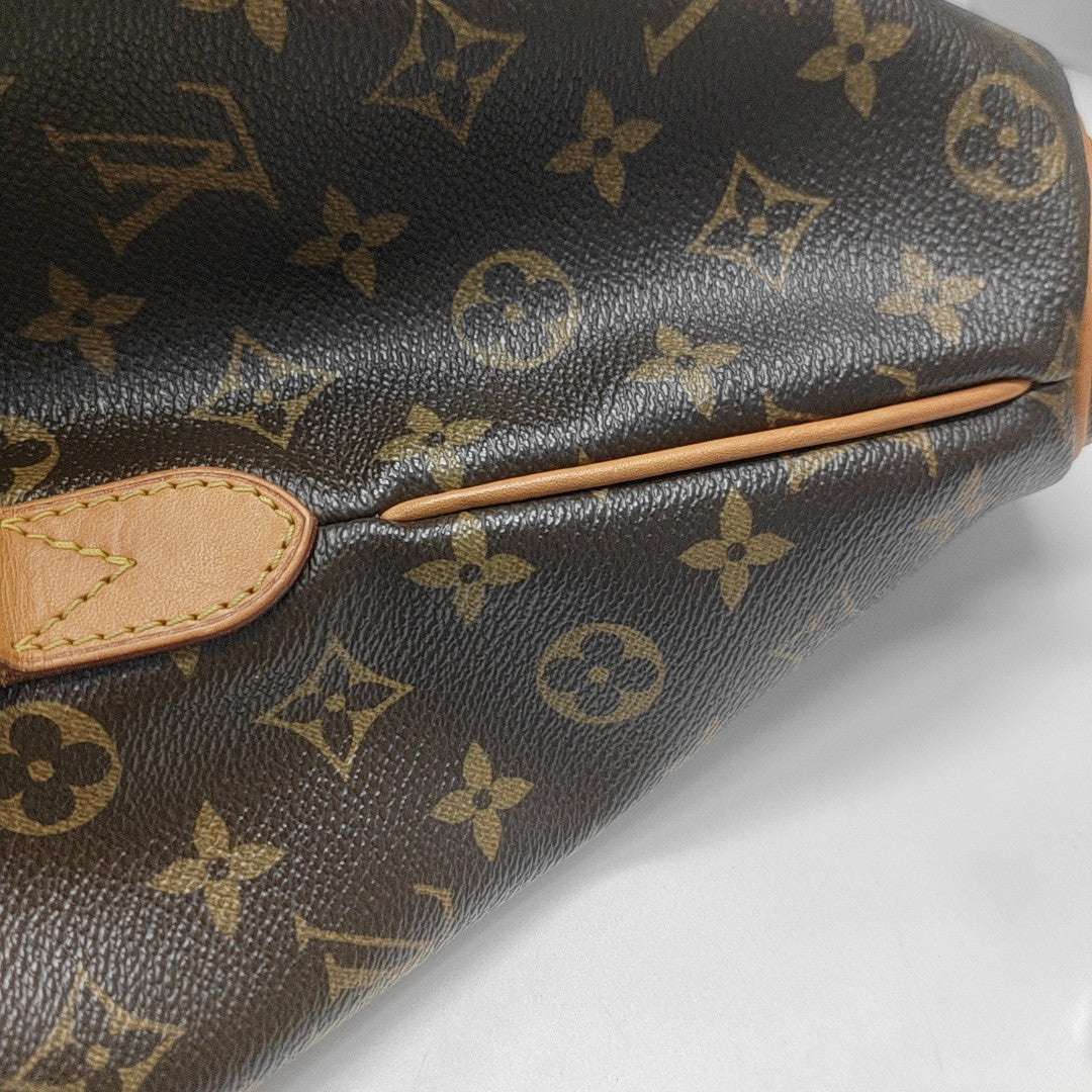 DELIGHTFUL Monogram Coated Canvas Brown