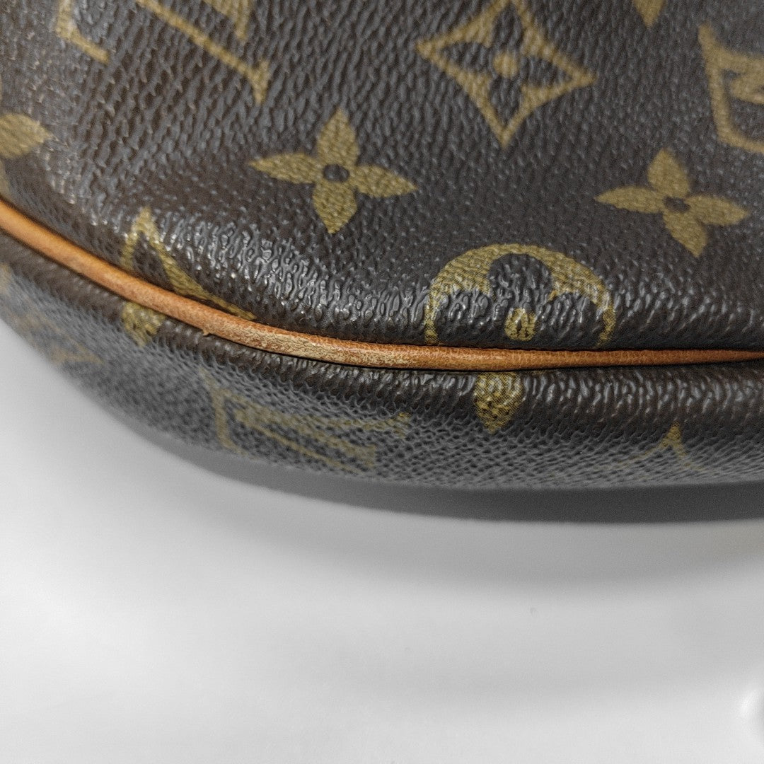 CROISSANT MM Monogram Coated Canvas Brown