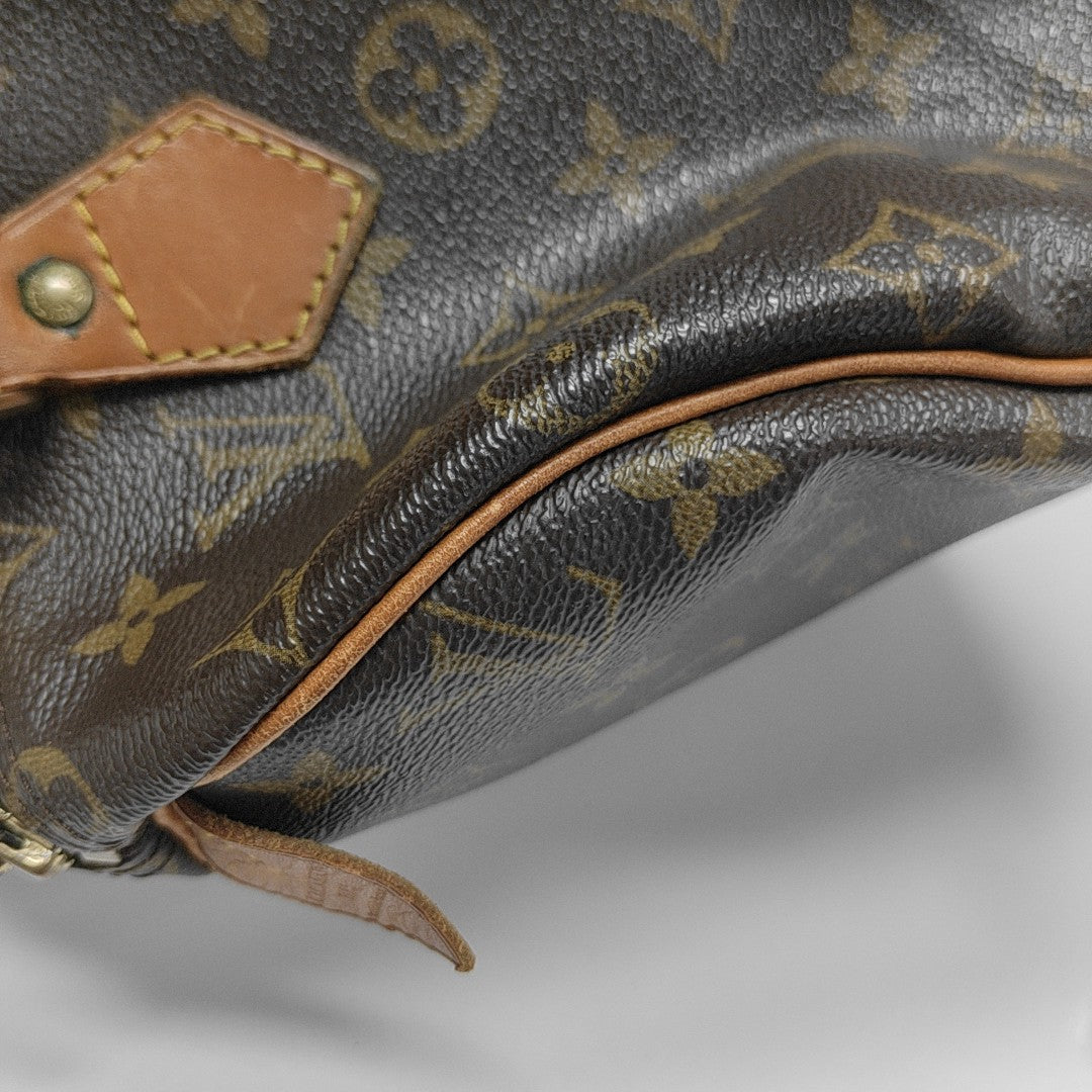 SPEEDY 25 Monogram Coated Canvas Brown