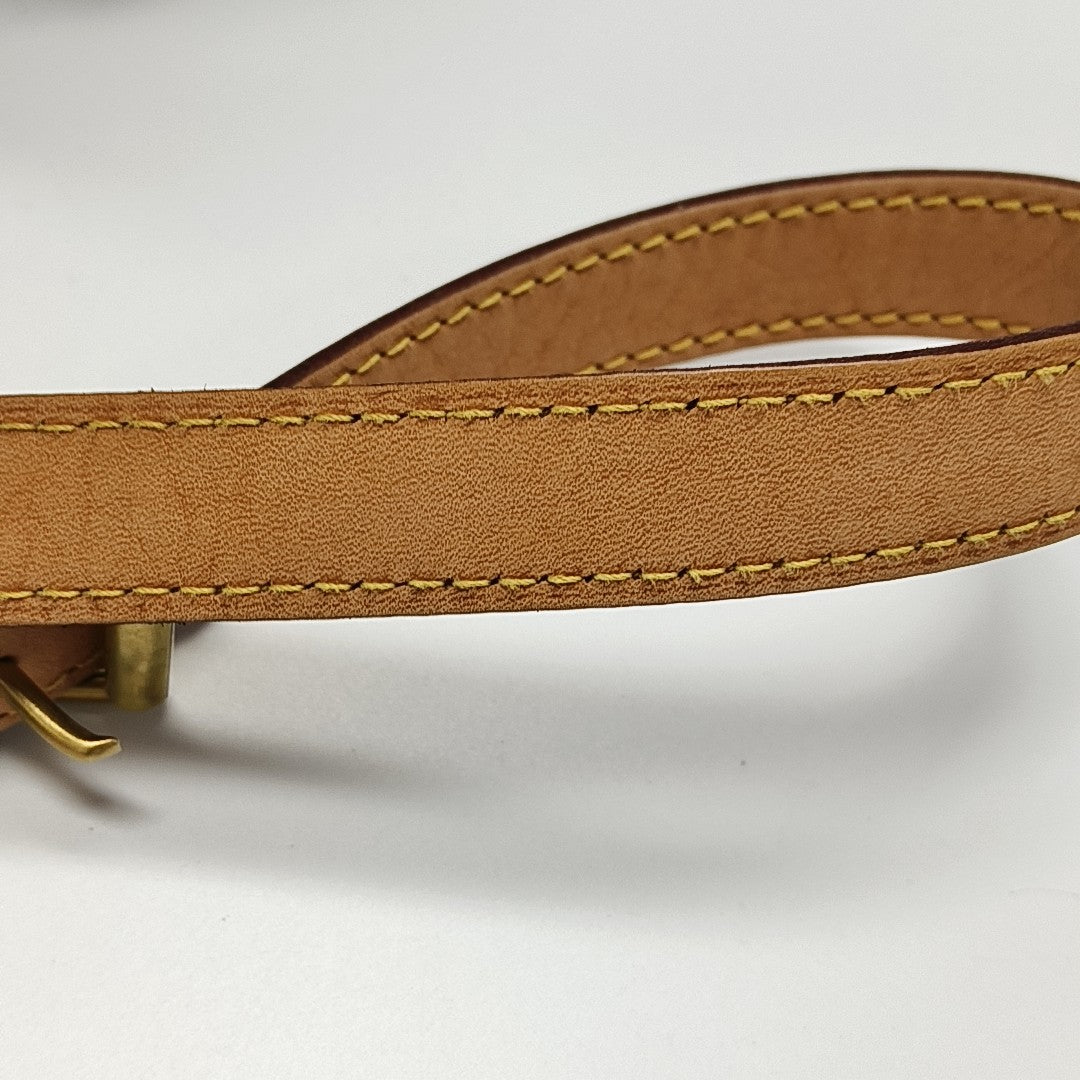 SPEEDY 25 Monogram Coated Canvas Brown
