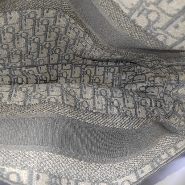 Diorcamp Large Oblique Canvas Gray