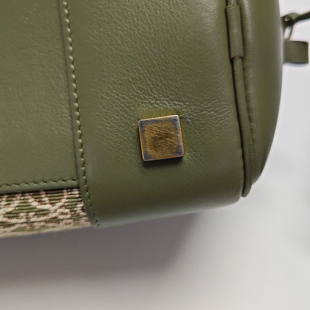 Amazona 19 Monogram Canvas Green