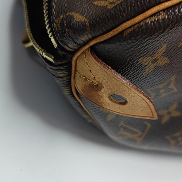 SPEEDY 25 Monogram Coated Canvas Brown
