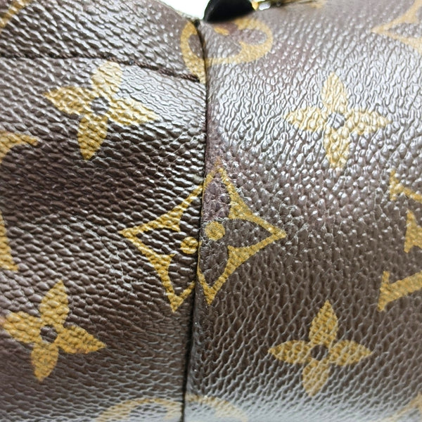 PALM SPRINGS Mini Monogram Coated Canvas Brown