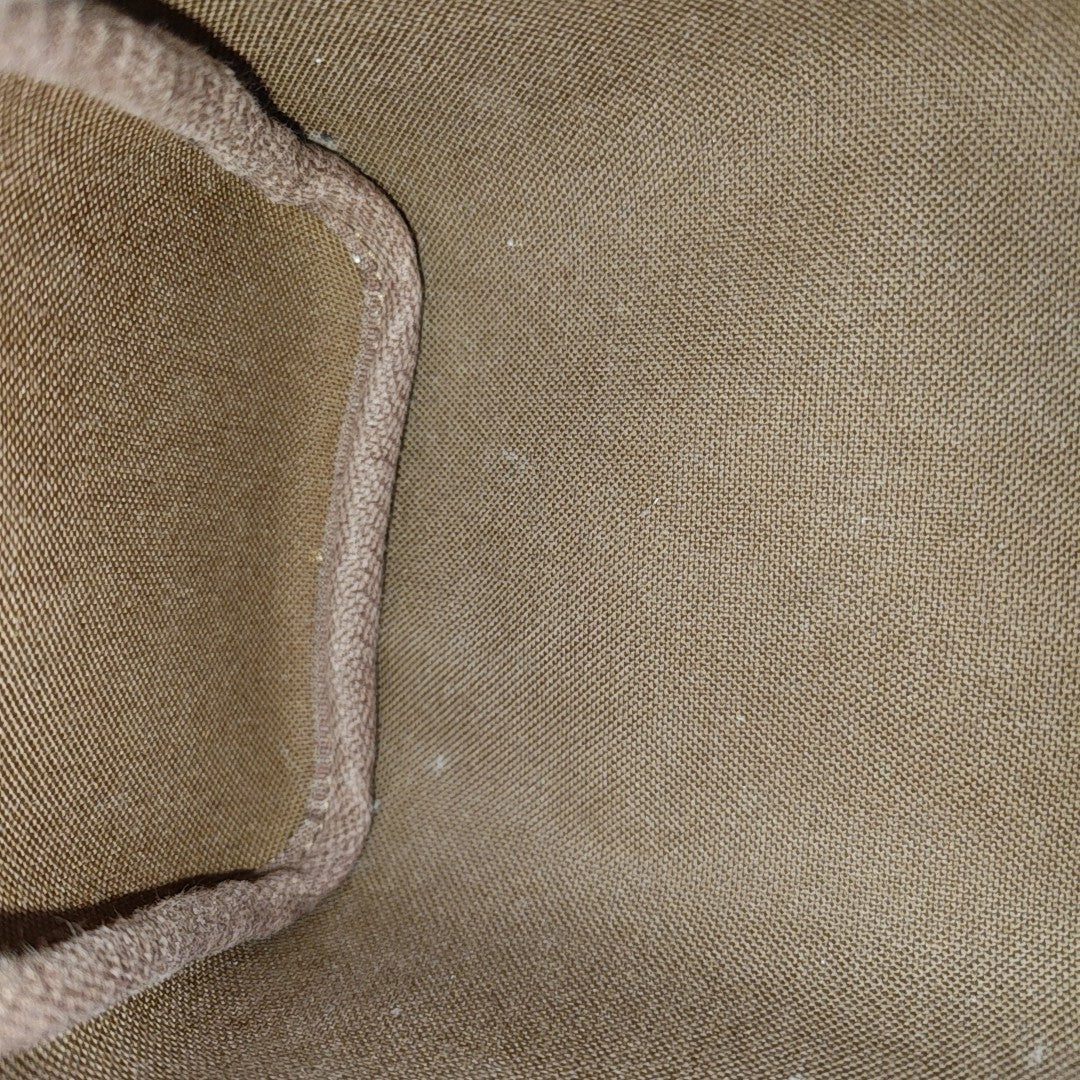 SPEEDY Nano Monogram Coated Canvas Brown