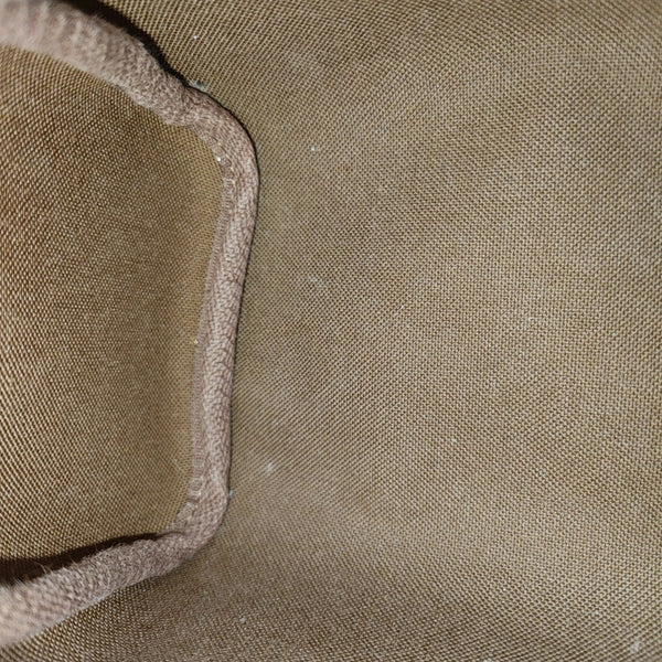 SPEEDY Nano Monogram Coated Canvas Brown