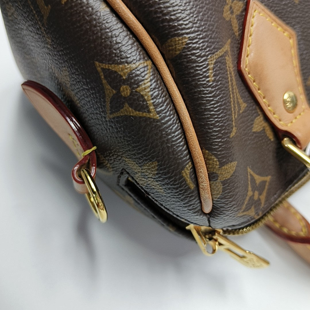 SPEEDY 20 Monogram Coated Canvas Brown