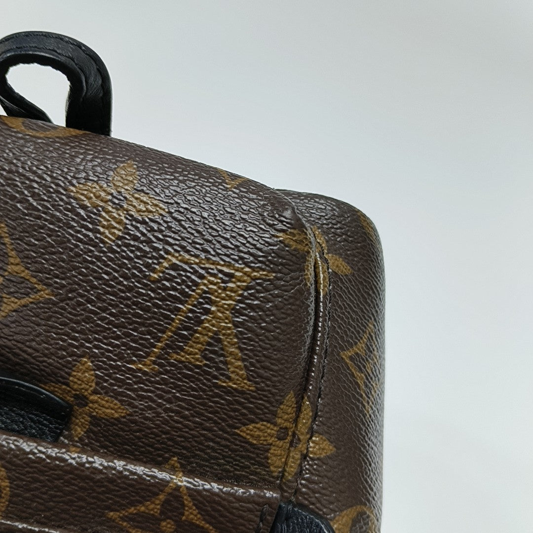 PALM SPRINGS Mini Monogram Coated Canvas Brown