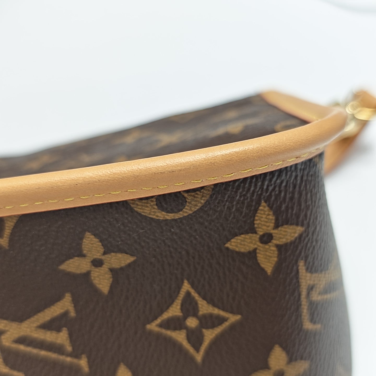 DIANE Monogram Coated Canvas Brown