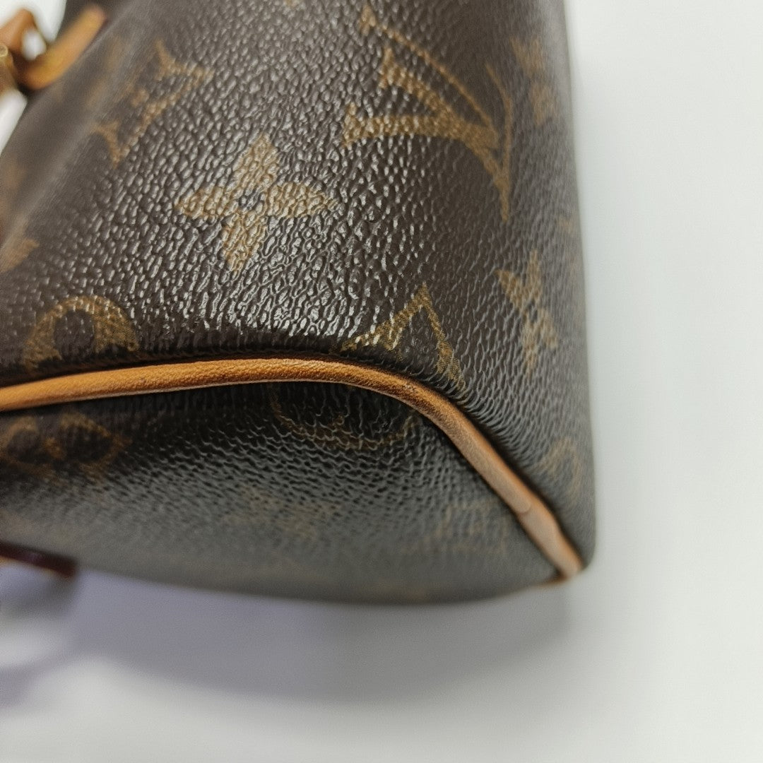 SPEEDY Nano Monogram Coated Canvas Brown